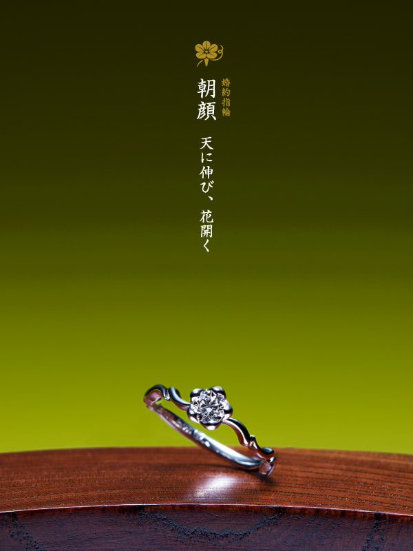 婚約指輪：花桔梗