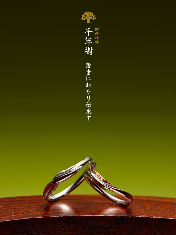 結婚指輪：千年樹